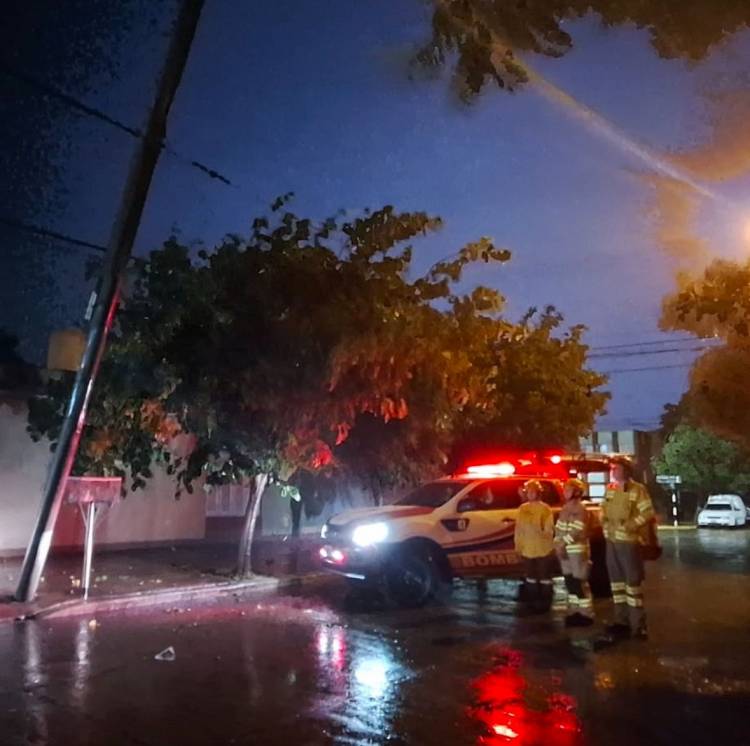 Cayeron 25 mm y los fuertes vientos ocasionaron algunos inconvenientes en la ciudad