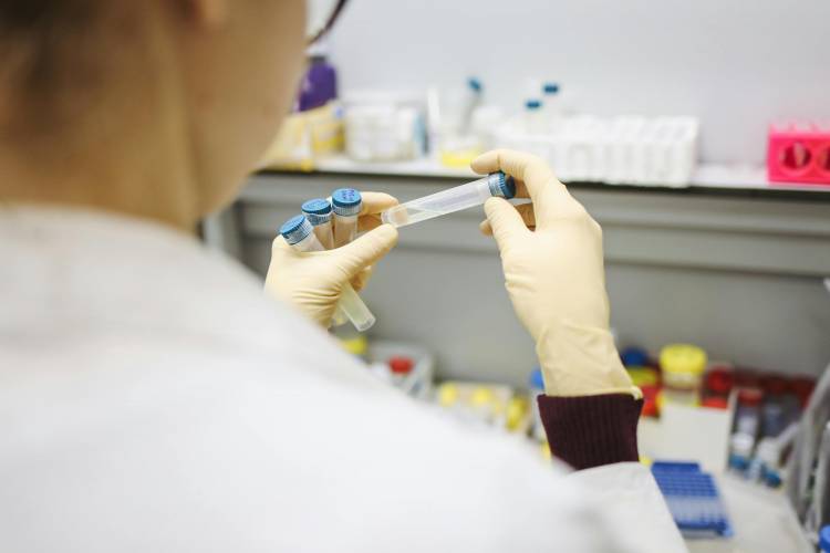 Pfizer y Sinergium invertirán 20 millones de dólares en Argentina para producir una vacuna contra el neumococo