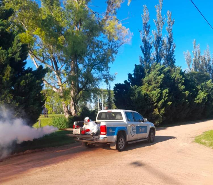 Desde el municipio aseguran que se trabaja para demorar el crecimiento poblacional del mosquito del dengue 