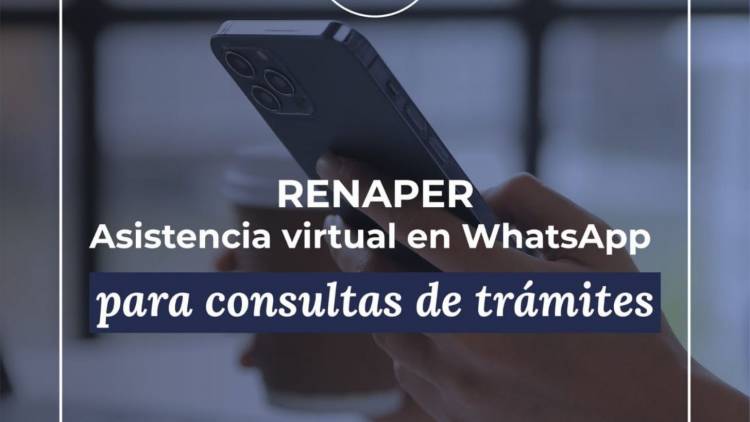 Renaper lanza un asistente virtual por WhatsApp para consultas sobre DNI y trámites