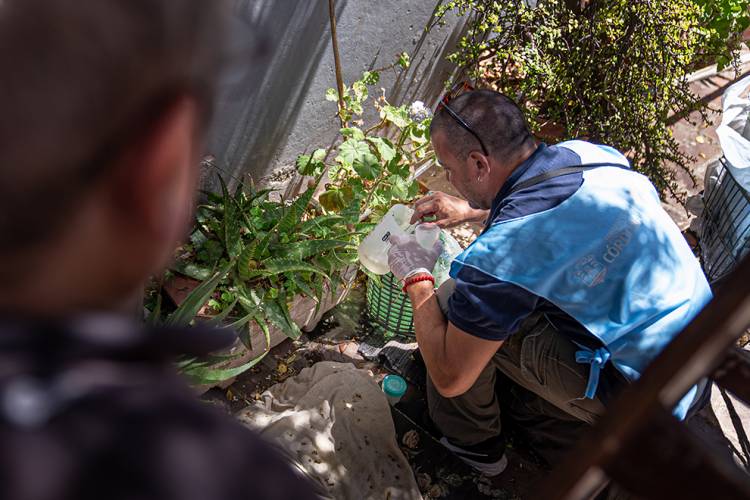 Aplastante caída del dengue en Córdoba: 3.394 casos este año contra 129.274 del 2024