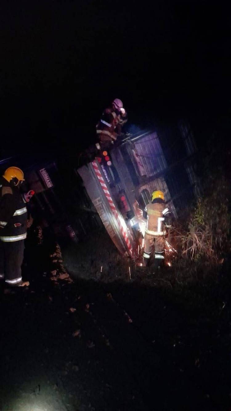 Vuelco de camión jaula en Morteros: gran cantidad de vacunos murieron en el siniestro
