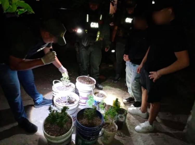 Secuestran marihuana en San Francisco y Frontera: un detenido