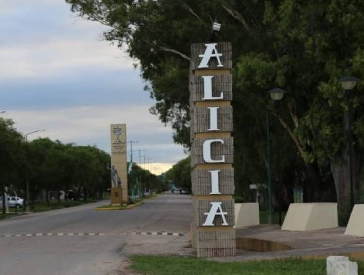 Alicia: autopsia al perro arrastrado por conductor determinó que ya estaba muerto al momento del hecho