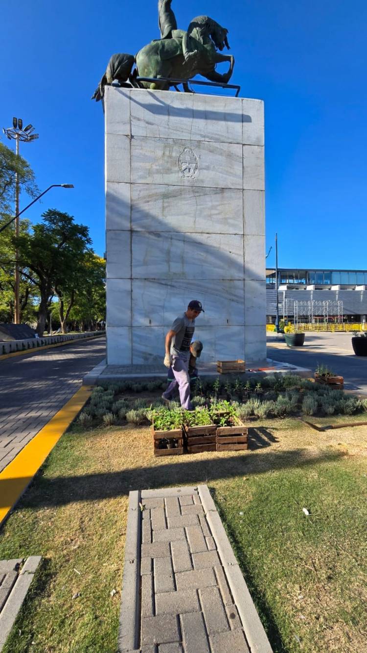 Convenio municipio-servicio penitenciario: renuevan plantas en el Centro Cívico y otros puntos