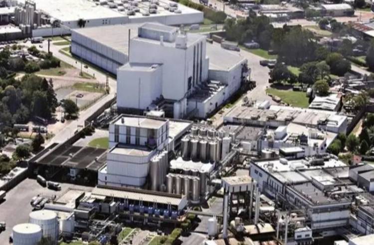 Arcor y Danone anuncian la compra de Mastellone y crean gigante lácteo en Argentina