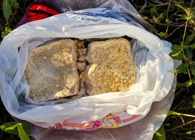 Hallaron casi un kilo de cocaína abandonado en una plaza de barrio Hipólito Bouchard